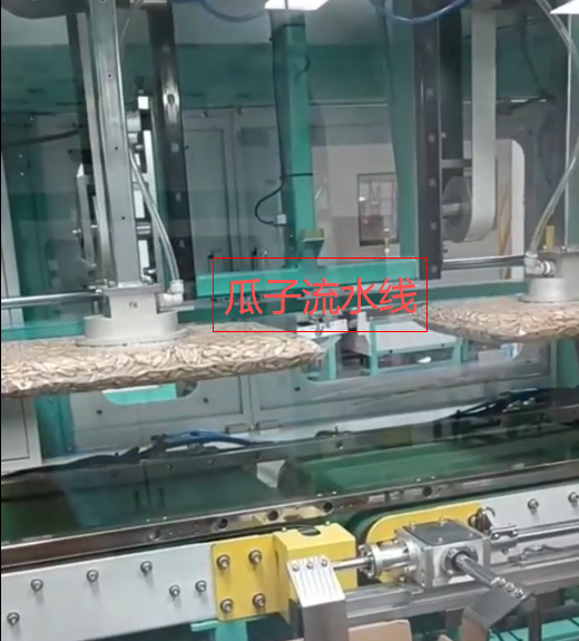 瓜子全自動(dòng)兩面成型真空包裝線